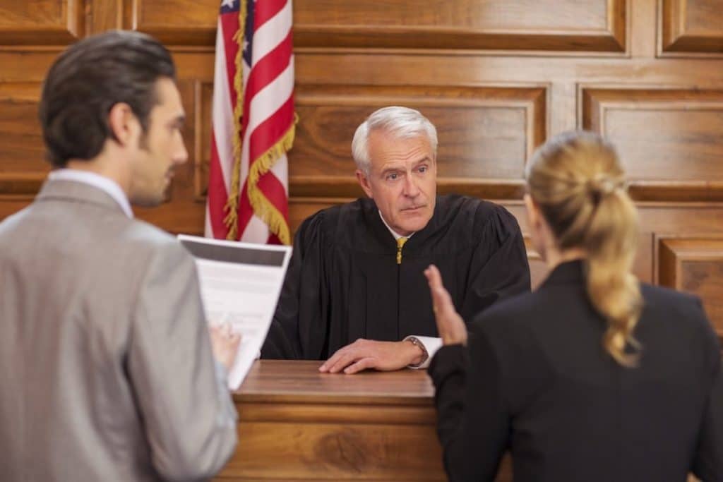 Appeals and Litigation Support 2 Trial Support 1